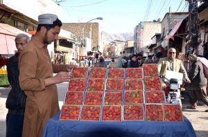 A vendor arranges fresh strawberries on handcart to attract the customers in a local market.