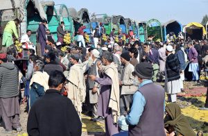 A laborer transports oranges on a wheelbarrow at a fruit market in the Federal Capital.