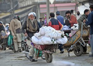 A laborer transports oranges on a wheelbarrow at a fruit market in the Federal Capital.