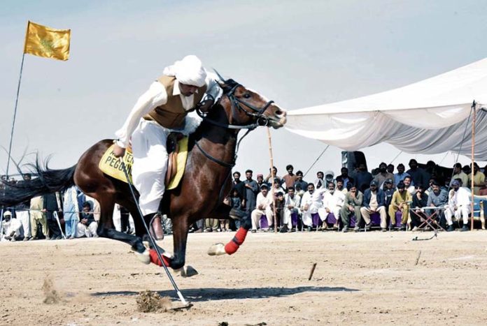 A horse riders competes during a tent pegging competition of 21st TDCP Cholistan Desert Rally 2026 at Cholistan desert Jeep Rally