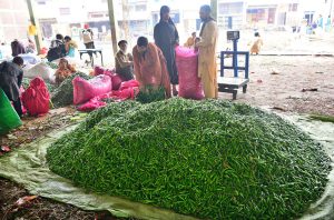 A labourer arranges green chilies on a heap at the wholesale vegetable market to attract customers.