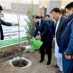 Chief Minister Balochistan Mir Sarfraz Bugti inaugurating tree plantation campaign 2026 in province by planting a tree at CM's Secretariat Quetta