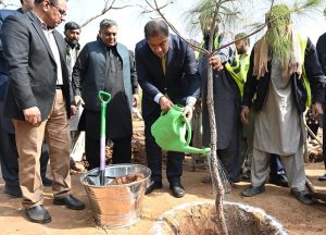 Chairman Capital Development Authority (CDA) and Chief Commissioner Islamabad, Muhammad Ali Randhawa along with others plants a pine tree to start the Spring Tree Plantation Campaign 2026 in full swing at the Shakarparian location in order to make the Federal Capital Islamabad more beautiful, green and lush organizes by Capital Development Authority (CDA)