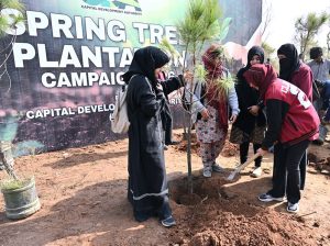 A large number of women from civil society planting pine tree to participate the Spring Tree Plantation Campaign 2026 at the Shakarparian location in order to make the Federal Capital Islamabad more beautiful, green and lush organized by Capital Development Authority (CDA)