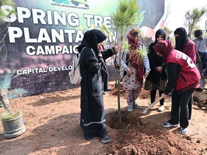 A large number of women from civil society planting pine tree to participate the Spring Tree Plantation Campaign 2026 at the Shakarparian location in order to make the Federal Capital Islamabad more beautiful, green and lush organized by Capital Development Authority (CDA)