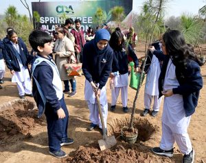 A large number of women from civil society planting pine tree to participate the Spring Tree Plantation Campaign 2026 at the Shakarparian location in order to make the Federal Capital Islamabad more beautiful, green and lush organized by Capital Development Authority (CDA)