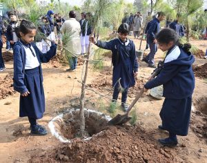 A large number of women from civil society planting pine tree to participate the Spring Tree Plantation Campaign 2026 at the Shakarparian location in order to make the Federal Capital Islamabad more beautiful, green and lush organized by Capital Development Authority (CDA)