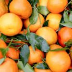 Citrus exports from Sargodha surge to 97,000 metric tons