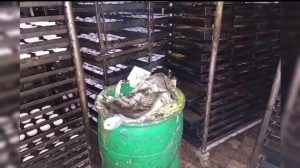 IFA seals bakery unit in I-10 over serious food safety violations