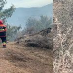 Murree Admin inspects fire safety at hotels on Mall Road