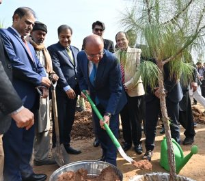 Pollen-causing trees being removed to make Islamabad more liveable: Barth