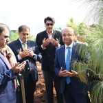 Pollen-causing trees being removed to make Islamabad more liveable: Barth