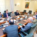 DPM/FM Dar reviews progress on privatization of SOEs