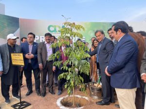 CDA, journalists launch spring tree plantation drive in Islamabad