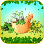 Declining habits of traditional hikmat treatment needs govt attention