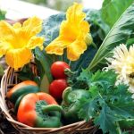 Punjab distributes seed kits for eight vegetables to promote kitchen gardening