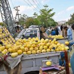 Vendors displaying seasonal fruit ‘melon’ to attract the customers at Shamsabad