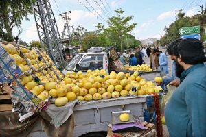 Vendors displaying seasonal fruit ‘melon’ to attract the customers at Shamsabad