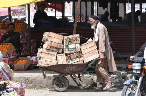 An elderly man pushes a handcart loaded with crates of fruits at the Fruit and Vegetable Market.