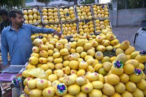 Vendors displaying seasonal fruit ‘melon’ to attract the customers at Shamsabad