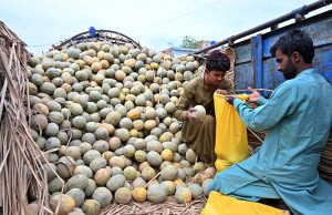 Every delivery is a story of effort. Workers off-loading fruits from the delivery truck at fruits Market.