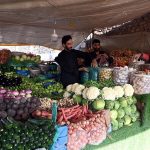 A vendor displaying vegetables to attract customers during holy fasting month of Ramazan near Ghouri town in the Federal Capital
