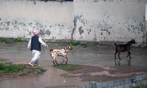 Youngsters playing in the rain water in the street after rain that experienced the Federal Capital.