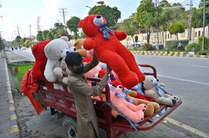 A vendor is displaying huge teddy bear to attract the customers at Double Road