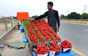 A roadside vendor arranges and displays fresh strawberries on a wooden cart along a city road to attract customers.