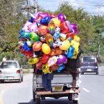 A vendor carrying balloons of different shapes is traveling on a vehicle at Tarlai