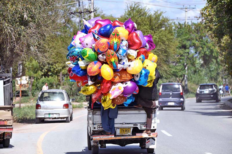A vendor carrying balloons of different shapes is traveling on a vehicle at Tarlai