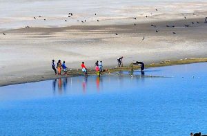 Fishermen are busy catching fish with fishing nets on the bank of the Indus River.