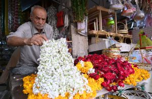 Years in his hands, hope in every garland. An old man selling and displaying flower garlands to attract the customer at Fawara Chowk.