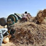 Farmers thresh wheat using a threshing machine in the fields during the peak harvesting season in Tando Haider