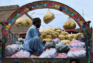 A vendor arranging and displaying the vegetables to attract the customers on his delivery truck at Vegetable Market.