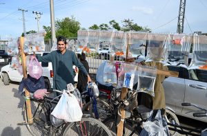 A young street vendor balances a wooden rack on his bicycle, showcasing colorful goldfish in water-filled plastic bags for sale at h-9 area in the Federal Capital.