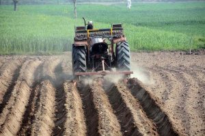 A farmer is busy preparing field with help of a tractor