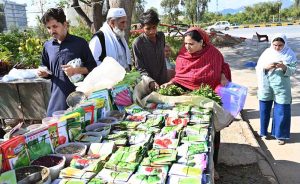 People busy purchasing seeds of vegetables from vendor at local nursery in Federal Capital.