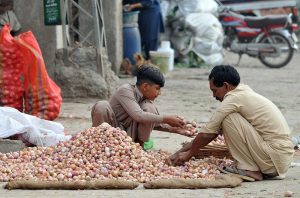 Labourers sort and separate good-quality onions at a vegetable market during routine trading activity.