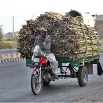 A tricycle loader on the way loaded with sugarcane at Multan Road
