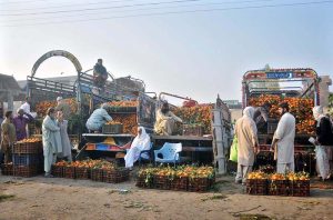 Vendors participate in an orange auction at the wholesale fruit market as traders place bids during early morning trading hours.