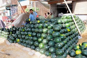 A fruit vendor displaying watermelon in the front of his shop to attract customers.