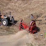 Farmers thresh harvested wheat using a thresher machine to separate grain from the stalks near Otha Bypass Road