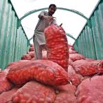 A labourer unloads potato sacks from a transport truck at the vegetable market