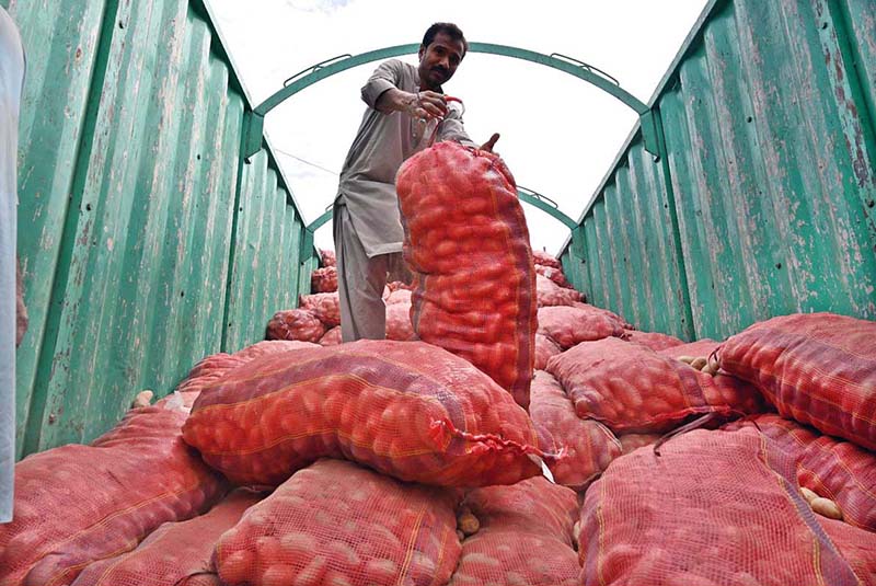 A labourer unloads potato sacks from a transport truck at the vegetable market