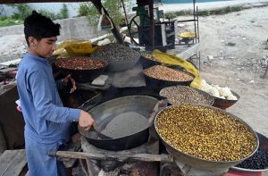 Young vendor busy roasting grams on his handcart to attract customers along roadside near Kuri road in the Federal Capital.