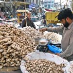 A vendor sells ginger and garlic from his cart at Sharbart Chowk