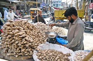 A vendor sells ginger and garlic from his cart at Sharbart Chowk