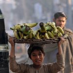 A young laborer carries a basket of bananas on his head during an auction as shopkeepers place bids at the fruit market