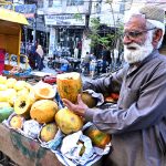 An elderly vendor is displaying seasonal fruit Papaya on his cart to attract the customers